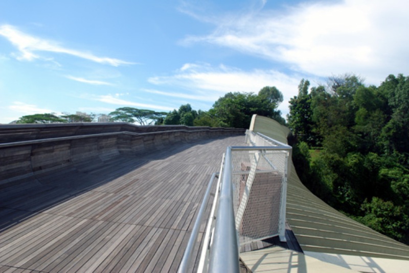 Photo 12, Henderson Waves bridge, Singapore