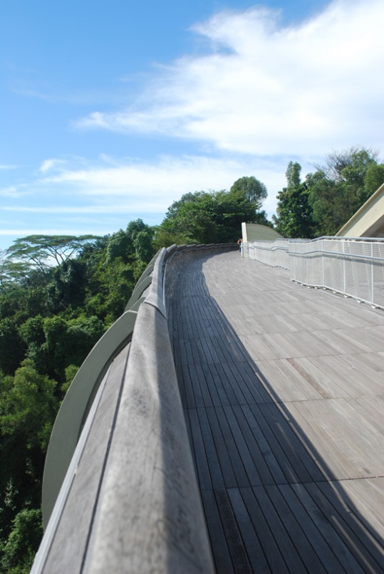 Photo 13, Henderson Waves bridge, Singapore