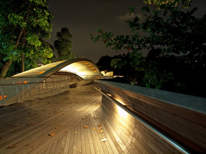 Photo 6, Henderson Waves bridge, Singapore