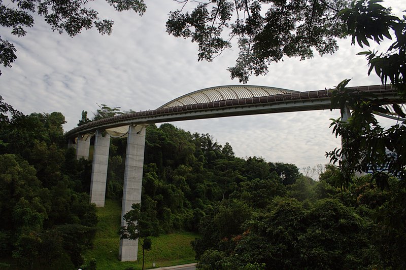 Фото 12, Мост Волны Хендерсона, Сингапур
