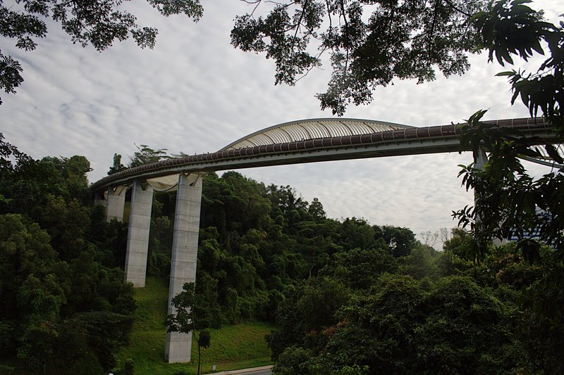 Photo 16, Henderson Waves bridge, Singapore