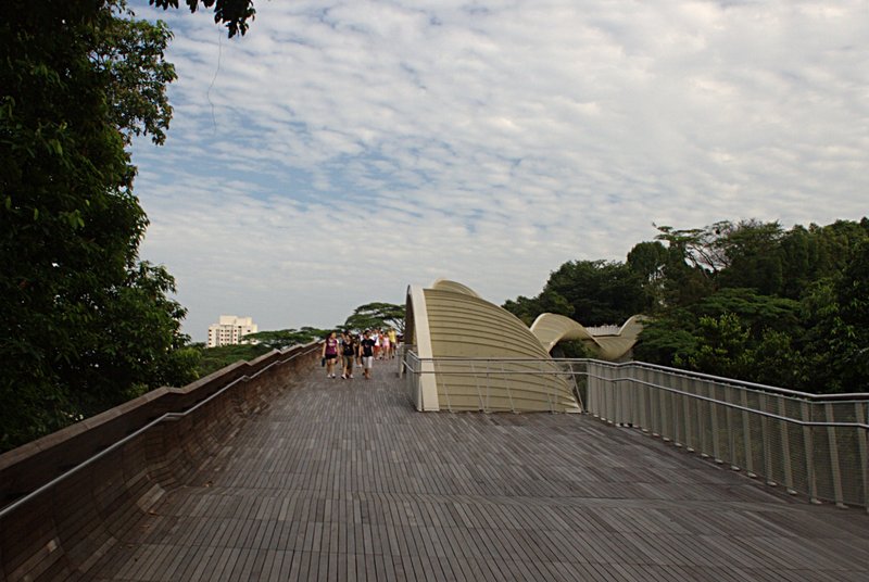 Фото 10, Мост Волны Хендерсона, Сингапур