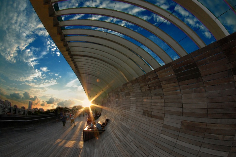 Photo 7, Henderson Waves bridge, Singapore