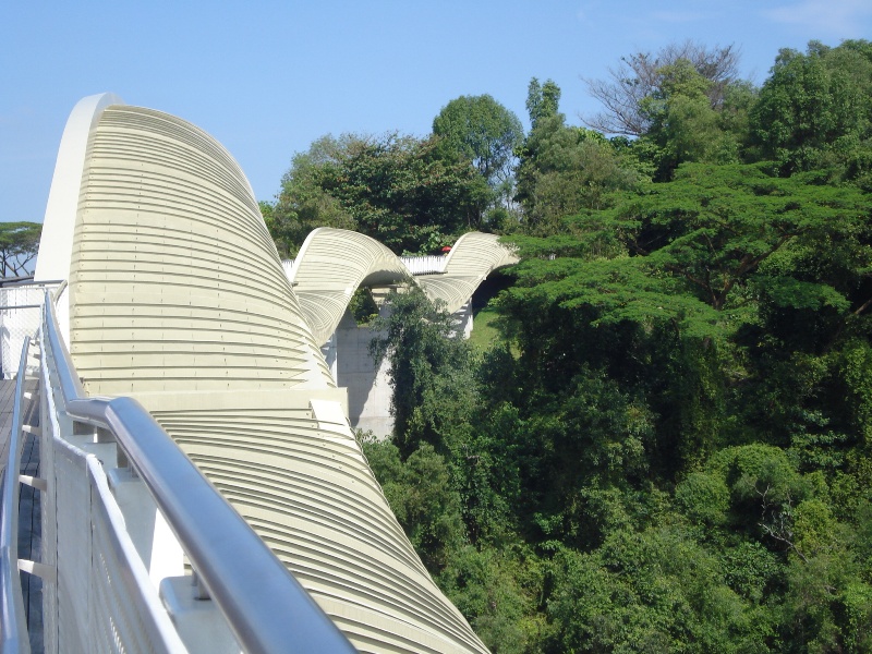 Photo 5, Henderson Waves bridge, Singapore