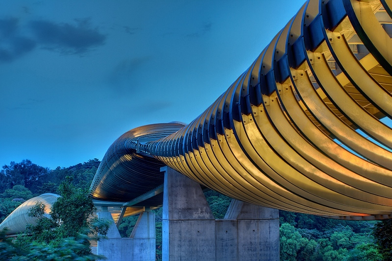 Photo 2, Henderson Waves bridge, Singapore