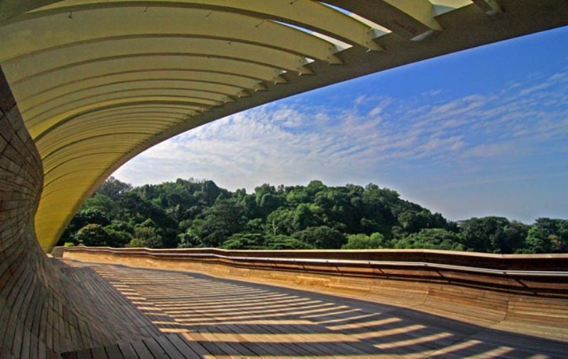 Photo 8, Henderson Waves bridge, Singapore