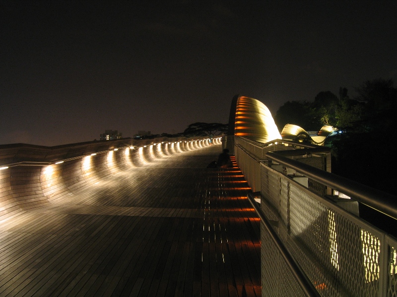 Фото 11, Мост Волны Хендерсона, Сингапур