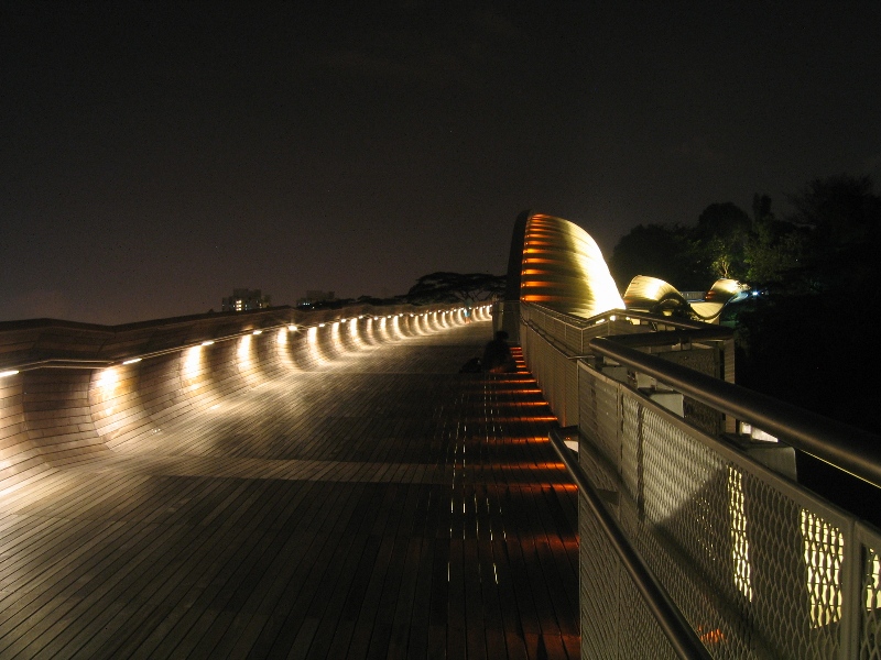 Photo 14, Henderson Waves bridge, Singapore