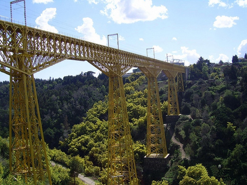 ���� 5, ������ �������, ����