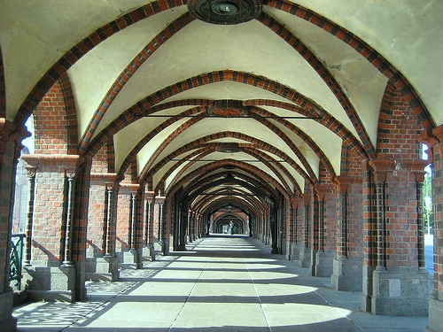 ���� 6, ��������������, ������