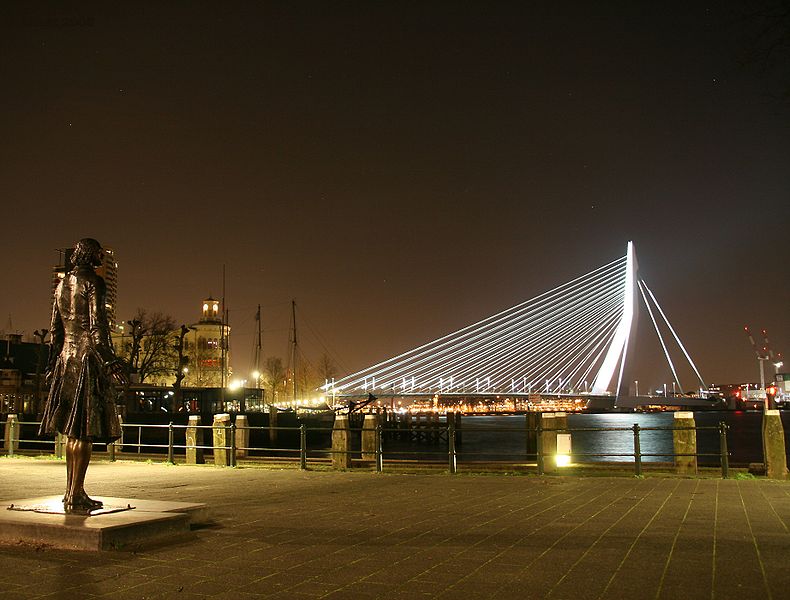 Фото 4, Мост Эразмуса, Роттердам