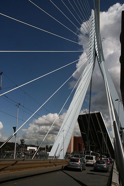 Фото 6, Мост Эразмуса, Роттердам